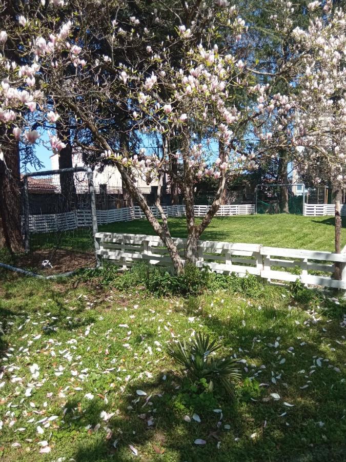 Chez Ben Avec Tout Le Confort Clim Wifi Netflix Gratuit Castres  Exterior photo