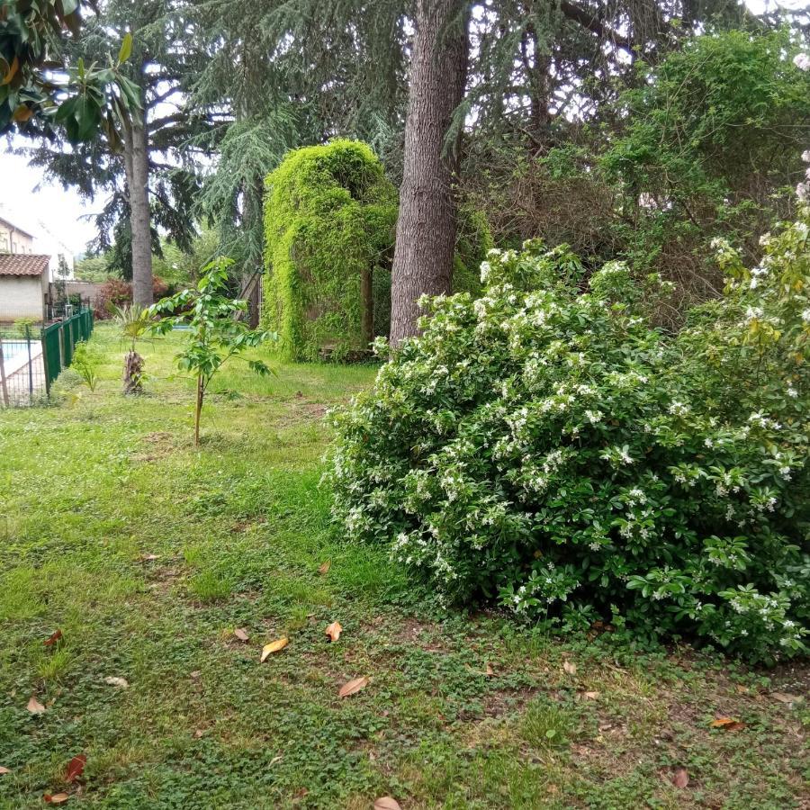 Chez Ben Avec Tout Le Confort Clim Wifi Netflix Gratuit Castres  Exterior photo